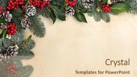  Presentation with christmas frames - PPT layouts having borders frames - christmas and winter background border background and a lemonade colored foreground