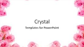  Presentation with framework - Slide deck consisting of borders frames - framework from roses isolation background and a white colored foreground