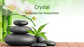  Presentation with zen stones - Slide set consisting of borders frames - zen basalt stones and orchid background and a soft green colored foreground