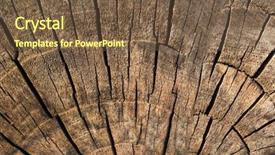  Presentation with texture - PPT theme consisting of boreal forest - old log texture background and a  colored foreground