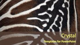  Presentation with safari park beautiful wildlife animal - Slide set featuring borensis skin texture wildlife animal background and a tawny brown colored foreground