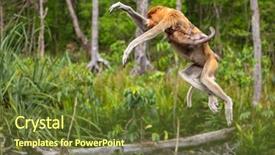  Presentation with baby tree - Cool new presentation theme with borneo female with a baby backdrop and a tawny brown colored foreground