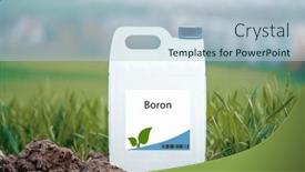  Presentation with boron chemistry - Slide set having boron-an-essential-nutrient background and a light blue colored foreground