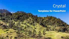  Presentation with colombia - Presentation enhanced with bosque-de-palma-de-cera background and a cobalt blue colored foreground