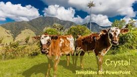  Presentation with colombia - Theme enhanced with bosque-de-palma-de-cera background and a tawny brown colored foreground