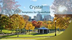  Presentation with pine trees sun shining through - Presentation design consisting of boston common in the fall background and a light blue colored foreground