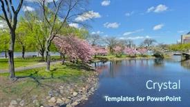  Presentation with boston - Colorful PPT theme enhanced with boston-esplanad-in-early-spring backdrop and a ocean colored foreground