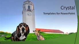  Presentation with calling card for personal of recruiter - Audience pleasing slide deck consisting of boston terrier - funny dog card backdrop and a  colored foreground