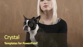  Presentation with colored - Beautiful slide set featuring swimming pool edge with blue tiles and blue mosaic backdrop and a teal colored foreground