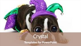  Presentation with blue eyes technology eye scan - PPT layouts with boston terrier with huge eyes background and a coral colored foreground