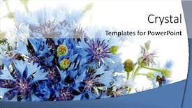  Presentation with bunch - Cool new PPT theme with botanical flowers - bunch of centauries backdrop and a white colored foreground
