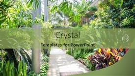  Presentation with botanical garden - Colorful slide deck enhanced with botanical garden greenhouse exotic plants backdrop and a seafoam green colored foreground
