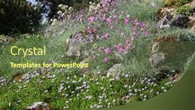 Presentation with botanical garden - Colorful PPT theme enhanced with botanical-garden-in-linz-austria backdrop and a  colored foreground