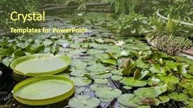  Presentation with botanical garden - PPT theme enhanced with botanical garden na slupi prague background and a  colored foreground