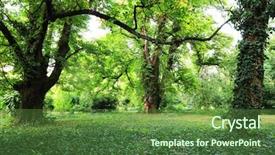  Presentation with botanical - Amazing slide deck having botanical garden backdrop and a  colored foreground