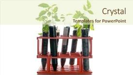  Presentation with plant biotechnology - Beautiful slide deck featuring botanical research plants growing backdrop and a soft green colored foreground