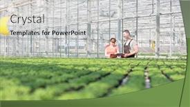  Presentation with herb - Cool new presentation design with botanists discussing while standing by herb seedlings in greenhouse backdrop and a light gray colored foreground