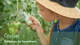  Presentation with botany - Slides with botany-for-kids background and a tawny brown colored foreground