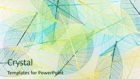  Presentation with botany - PPT layouts featuring botany fossil - colorful skeleton leaves close up background and a soft green colored foreground