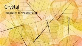  Presentation with botany - Slide set enhanced with botany fossil - colors of autumn - abstract background and a yellow colored foreground