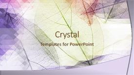  Presentation with abstract leaves - PPT theme having botany fossil - decorative skeleton leaves abstract background background and a cream colored foreground