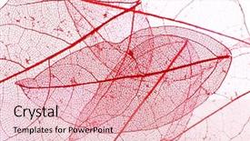  Presentation with chemistry leaves green leaf - PPT theme consisting of botany fossil - decorative skeleton leaves background background and a lemonade colored foreground