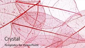  Presentation with forensic chemistry leaves - Cool new theme with botany fossil - decorative skeleton leaves background backdrop and a lemonade colored foreground