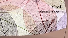  Presentation with tea leaves fresh green leaf - Theme featuring botany fossil - decorative skeleton leaves background background and a  colored foreground