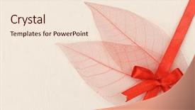  Presentation with botany - Presentation design having botany fossil - dried leaf skeleton with gift background and a  colored foreground