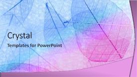  Presentation with botany - Cool new presentation theme with botany fossil - multicolor decorative skeleton leaves backdrop and a light blue colored foreground