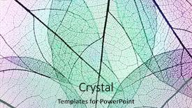  Presentation with kashmir chinar leaves - Cool new PPT layouts with botany fossil - multicolor decorative skeleton leaves backdrop and a  colored foreground