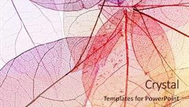  Presentation with multicolor - Audience pleasing PPT layouts consisting of botany fossil - multicolor decorative skeleton leaves backdrop and a coral colored foreground