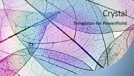  Presentation with chemistry leaves green leaf - Presentation design enhanced with botany fossil - multicolor decorative skeleton leaves background and a  colored foreground