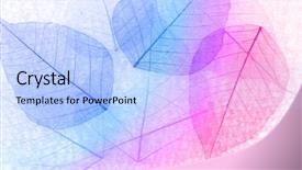  Presentation with botany - Amazing presentation having botany fossil - multicolor decorative skeleton leaves backdrop and a  colored foreground