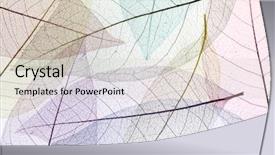  Presentation with botany - Colorful slide deck enhanced with botany fossil - skeleton leaf background backdrop and a soft green colored foreground