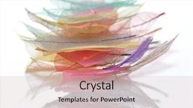  Presentation with skeleton - Presentation theme having botany fossil - stack of colorful skeleton leaves background and a soft green colored foreground