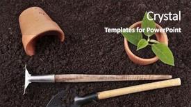  Presentation with botany - Audience pleasing presentation design consisting of botany garden - gardening tools and seedling backdrop and a wine colored foreground