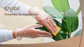  Presentation with waiter hand in white glove - Amazing slides having botany garden - hand at gloves cleaning ficus backdrop and a lemonade colored foreground