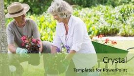  Presentation with gardening homes - PPT theme having botany garden - smiling mature couple engaged background and a mint green colored foreground