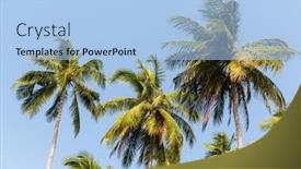  Presentation with botany - PPT theme enhanced with botany-nature-biology-eco background and a light blue colored foreground