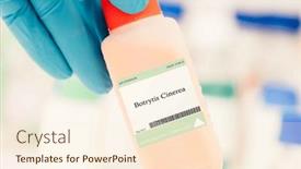  Presentation with fungus - Presentation design enhanced with botrytis-cinerea-fungus-a-type background and a cream colored foreground