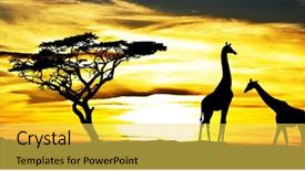  Presentation with africa - Amazing PPT layouts having botswana - wild animals in africa backdrop and a yellow colored foreground