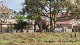  Presentation with agree - Slide set enhanced with botswana's growing elephant population background and a coral colored foreground