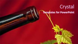  Presentation with grapevine - PPT theme with bottle-and-glass-of-wine background and a crimson colored foreground