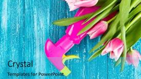  Presentation with pink and blue acrylic - Colorful slides enhanced with bottle green - beautiful pink tulips on blue backdrop and a teal colored foreground