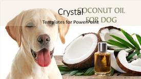  Presentation with coconut shell - PPT theme enhanced with bottle of coconut oil background and a lemonade colored foreground