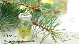  Presentation with essential oil - PPT theme with bottle of coniferous essential oil and branches on wooden background close up view background and a mint green colored foreground