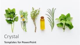  Presentation with essential oil - Presentation theme with bottle-of-essential-oil background and a sky blue colored foreground