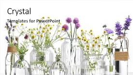  Presentation with essential oil - Slides having bottle of essential oil background and a white colored foreground