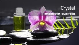  Presentation with fern - Theme with bottle of essential oil and fern leaves with orchid reflection background and a dark gray colored foreground